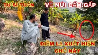 TU SĨ TUẤN SẼ TRỞ VỀ NÚI CẤM , BÊN CẠNH THÀNH HẬU.