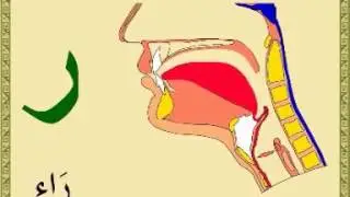 Learn Quran with rules of tajweed pronunciation free