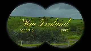 New Zealand Roadtrip: Auckland City & Hamilton 🚐🌿🌷 | Vlog Part 1