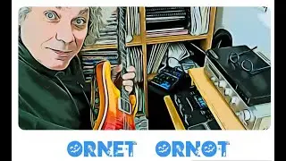 ORNET ORNOT - GINO DE VITA