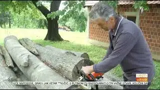 PRVA TV - VESTI - Posao drvosečama se utrostručio