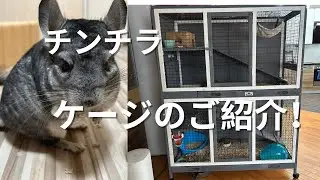 チンチラ　ケージのご紹介！