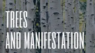 Trees and Manifestation