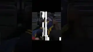 Malice at the palace incident 😰 #nba #viral #basketball