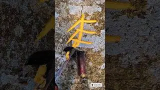 Unique Trees juice hunting #shorts #short #viral #satisfying #bamboo1 #fashiontrends #trending#trees
