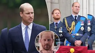 Prince William's response to a royal admirer during the Prince Harry conflict who urges him to...