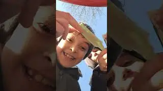 2 ianuarie 2026