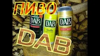 Пиво DAB из Германии Обзор и дегустация пива от Коктейль ТВ