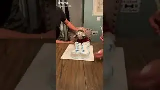 Dog eats cake
