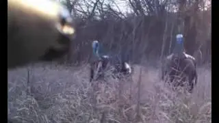 The Turkey Hunter - Turkey Reaping with Jeremy McCarty