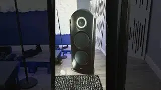 T.A.D. REFERENCE ONE !! no SUBWOOFER needed !! lol. #realaudiophile
