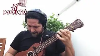 Instrumentos tradicionales del taller de Paxche Veracruz, ejecutados por m&uacute;sicos profesionales.