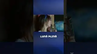 Nu Este Un Hoț, Este Dragostea Vieții Sale - Lună Plină #shorts