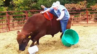 #FunnyVideos #comedy videos | Funny People Riding Pig!Hilarious! Funniest Animals Video Ever 2021