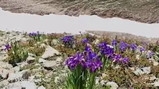 Mankial valley, Bahrain, Swat, PAKISTAN