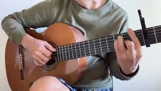 好きにならずにいられない (Can't Help Falling in Love) / エルヴィス・プレスリー (Elvis Presley)【ギター弾き語り Cover】(歌詞字幕)