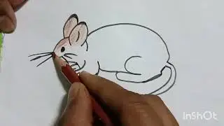 Rat easy drawing and colouring #drawingtutorial #drawing #ratdrawing #rat #drawingandcoloring 