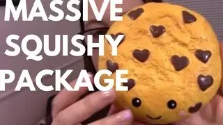 MY BIGGEST MOST EXPENSIVE SQUISHY PACKAGE!! OMG 😱 Puni Maru, Ibloom, and More! Sooo Kawaii!
