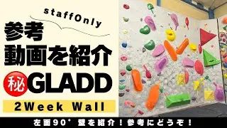 2week Wall 参考動画🎥　(1月12日Reset)