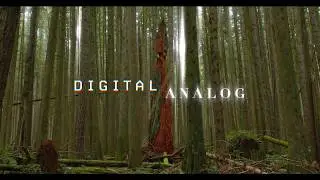 DIGITAL ANALOG -- Feat. Jakob Hartman