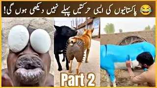 PAKISTAN INDIA MOST FUNNY VIDEO | VIRAL PAKISTANI INDIAN FUNNY VIDEO | LAUGH TIME| VIDEO 0072