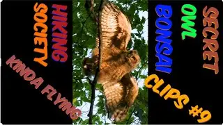 S.O.B.H.S. Clips #9 Kinda Flying 