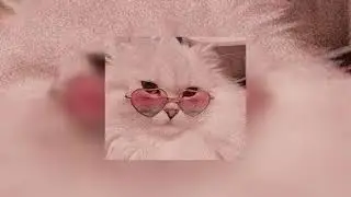 Billie Eilish - BIRDS OF A FEATHER (speed up)