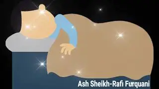 The Light Through Life Of The Prophet (sal) By Ash Sheikh-Rafi Furquani