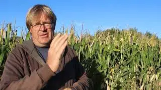 https://www.sound.ag/ Звуковой сельскохозяйственный продукт Источник, его успех уже до сбора урожая?