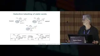Prof Sabine Flitsch - The use of enzymes in glycoengineering