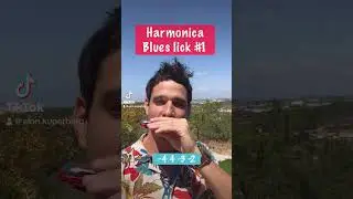 Harmonica Blues lick #1 (for beginners)