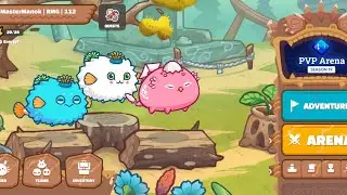 DOUBLE ANEMONE BIRD GAMEPLAY