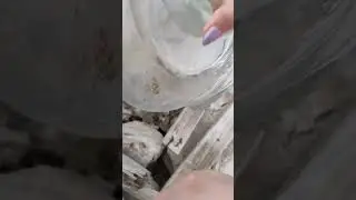 новая находка на заводе Красный Май #красныймай #нашланазаводе #коп копатель Оля