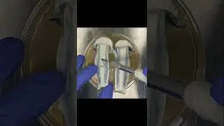Tissue Transfer - Propagation