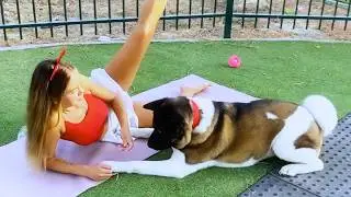 POV - You're Stretching Outside and Your Dog Starts a Comedy Show