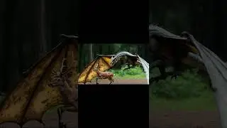 A Dragon Hunts | Nothing Can Escape