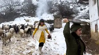 Shepherd&rsquo;s Life in the Coldest Mountain of Northern Iran :Discover Snowy Village life of Rural girls