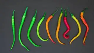 Hot Pepper Dance - Free Stop Motion