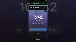 How to check Paws Allocation #PawsAllocation #Paws