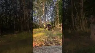 w coralll😼#foryou #quads #athlete #quadsjump #catmask #quadrobics #furry #quadrobist #quadjump
