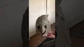 GG Mask Conversion
