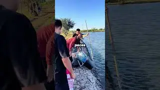 El Accidente Alimentario de los Peces Que Se Sali&oacute; de Control