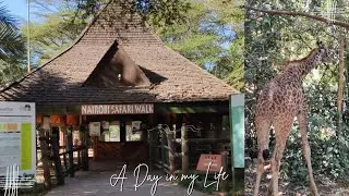 Nairobi Safari Walk Tour | Kenya&rsquo;s Hidden Wildlife Experience