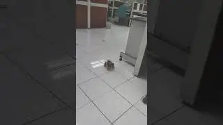 Assignment 2 MEEM1803 Robot Control Interface and Motion Video