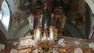Nitra (SK) Organ Concert - Manuel Tomadin