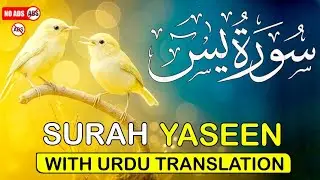 Surah Yasin ( yaseen ) With Urdu Translation |(سورة يس )🌿 Quran with Urdu and Hindi Tarjuma |Epi 34