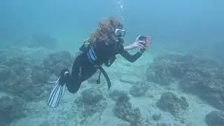 2026.01.27 05 SCUBA DSD BEACH DIVESTORY MOALBOAL