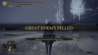 Elden Ring: How to Beat Any Dragon Boss (Borealis The Freezing Fog)
