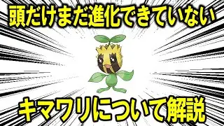 頭だけまだ進化できていないキマワリがもしいたら、それはどんな感じのポケモンなのか！【ポケモン解説】
