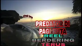CASTING  PAGI BUTA PAKE LURE PINTIL ....kampung halaman singaraja Hasilnya mengejutkan😲
